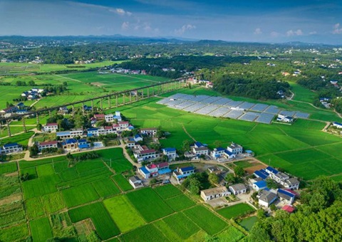 湖南：靶向发力盘活存量土地资产<br>为206家机关企事业单位定制处置方案，，，，，，，，盘活土地2.6万亩