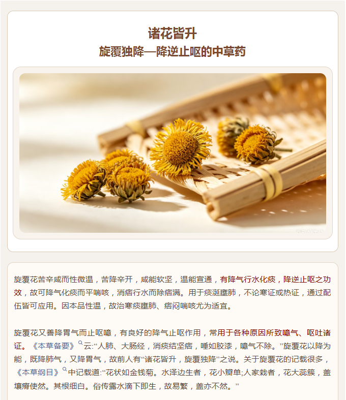 诸花皆升，旋覆独降—降逆止呕的中草药